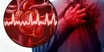 Heart Health Alert: BP, fatigue and shortness of breath while climbing stairs, these 4 problems will tell the condition of your heart health.