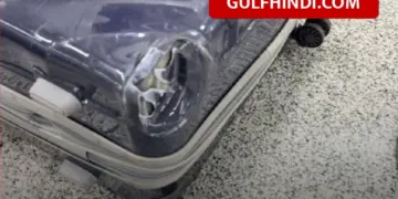 IndiGo Flight News: Passenger's bag broken in Indigo flight, airline apologized after it went viral on social media
