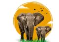 Jharkhand: Elephants are no longer our companions