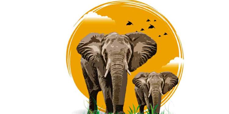 Jharkhand: Elephants are no longer our companions