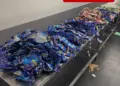Kuwait Airport: 13 Kg Gutkha found in passenger coming from Delhi flight, Customs took action