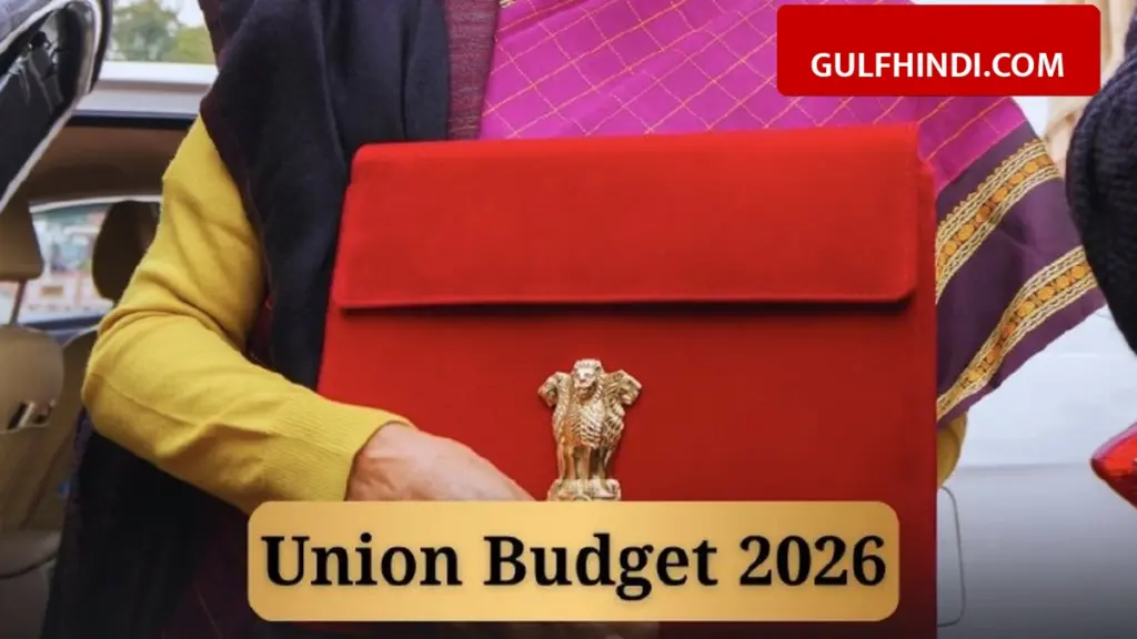 Nirmala Sitharaman Budget 2026: 3 new Ayurveda AIIMS will open in the country, it was also announced to build 5 medical hubs