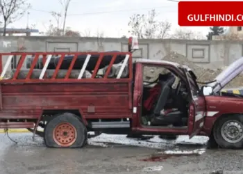 Pakistan Army Operation: Big action of Army in Balochistan, 92 terrorists killed and 15 soldiers martyred.