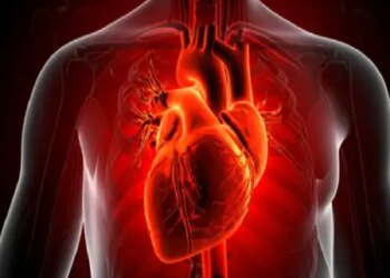 Pulses and beans will keep the heart young, extraordinary benefits are mentioned in Ayurveda
