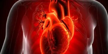 Pulses and beans will keep the heart young, extraordinary benefits are mentioned in Ayurveda