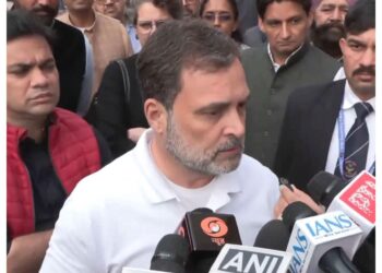 Rahul Gandhi calls Pappu Yadav's arrest "political vendetta", says he is being punished for demanding justice in NEET student death case