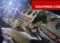 Ranchi Air Ambulance Crash: Plane going to Delhi to save patient meets accident, 7 including doctor and pilot killed