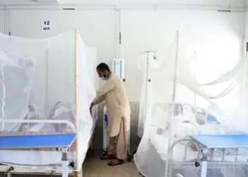 Record exodus of doctors from Pakistan: 4,000 leave the country in 2025