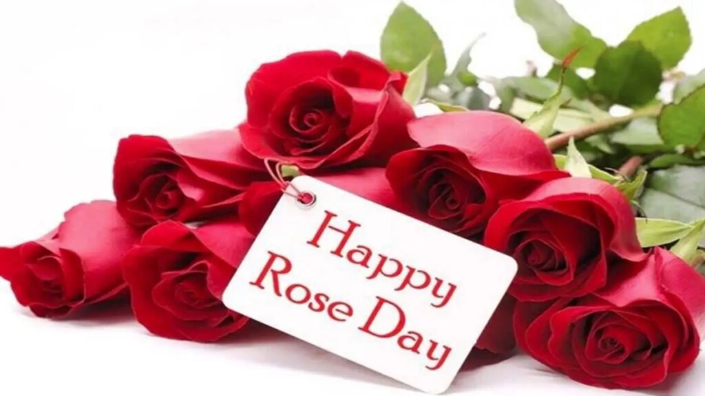 Rose Day 2026 Special: Why is Rose Day celebrated? Know the history of the first day of Valentine's Week and how to make it special
