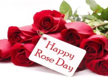 Rose Day 2026 Special: Why is Rose Day celebrated? Know the history of the first day of Valentine's Week and how to make it special