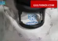 Saudi Arabia Founding Day: Special gift for travelers, special stamp will be put on passport