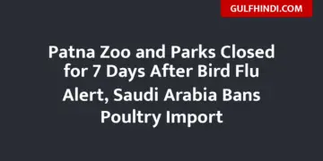 Saudi Arabia bans chicken and eggs from India, high alert regarding bird flu in Patna
