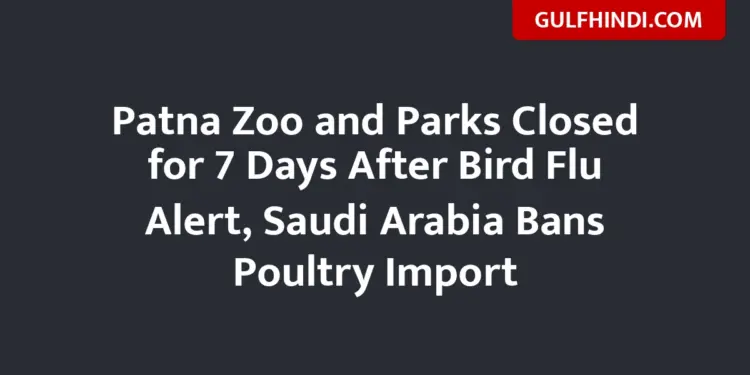 Saudi Arabia bans chicken and eggs from India, high alert regarding bird flu in Patna