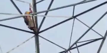Son did not get bail… Woman climbed high tension tower; High voltage drama lasted for 8 hours