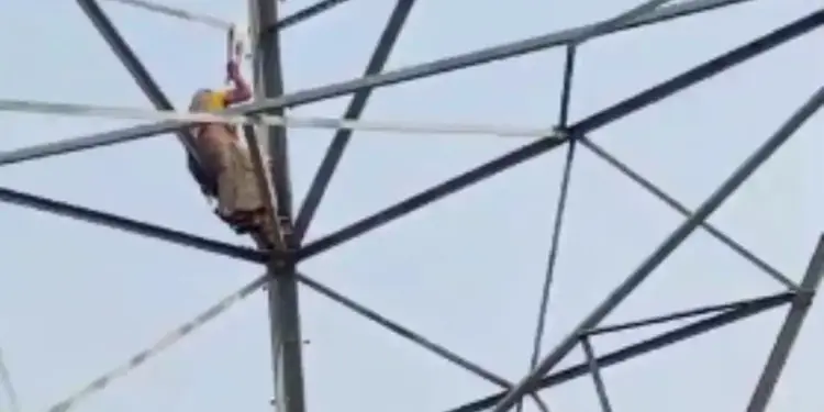 Son did not get bail… Woman climbed high tension tower; High voltage drama lasted for 8 hours