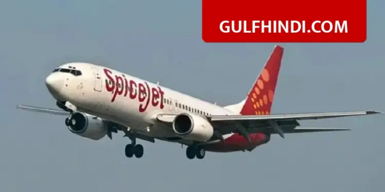 SpiceJet's Leh bound flight makes emergency landing in Delhi, pilot takes decision after engine failure