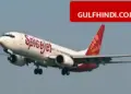 SpiceJet's big announcement, 10 new aircraft will join the fleet, now preparations to fly 300 flights daily