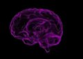 Taking care of grandchildren keeps the brain of the elderly active: Research