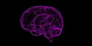 Taking care of grandchildren keeps the brain of the elderly active: Research