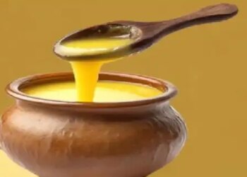 The concept of 'zero-fat' can spoil health, know how important fat is for the body