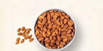 This small dry fruit takes special care of heart and brain, superfood has many benefits.