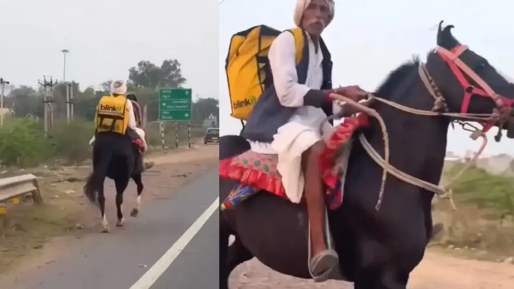 Uncle showed the desi jugaad! Blinkit's order arrived on a horse, people said after seeing the viral video - 'You did a great job uncle'