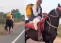 Uncle showed the desi jugaad! Blinkit's order arrived on a horse, people said after seeing the viral video - 'You did a great job uncle'