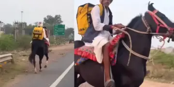 Uncle showed the desi jugaad! Blinkit's order arrived on a horse, people said after seeing the viral video - 'You did a great job uncle'