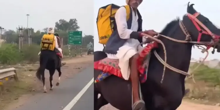 Uncle showed the desi jugaad! Blinkit's order arrived on a horse, people said after seeing the viral video - 'You did a great job uncle'