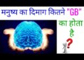 You will be amazed to know the power of human brain, know how much information can be stored in a healthy brain.