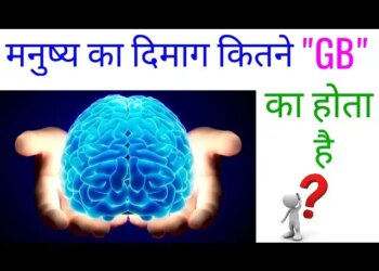 You will be amazed to know the power of human brain, know how much information can be stored in a healthy brain.