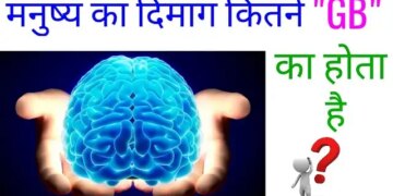 You will be amazed to know the power of human brain, know how much information can be stored in a healthy brain.