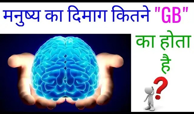You will be amazed to know the power of human brain, know how much information can be stored in a healthy brain.