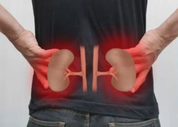 Are your kidneys gradually deteriorating? Apart from diabetes and high BP, these habits are becoming the real enemy.