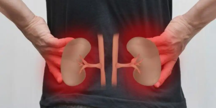 Are your kidneys gradually deteriorating? Apart from diabetes and high BP, these habits are becoming the real enemy.