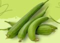 Consuming ridge gourd is beneficial in summer, if the stomach is clean then the body will remain hydrated.