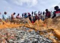 DPS device in Car Nicobar boosts fish production, improves nutrition level: Ministry