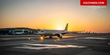 Etihad Flight Update: Etihad Airways resumes flights, ban on going to airport without confirmed ticket