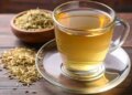 Fennel: Homemade tonic to keep body and mind cool in summers, many benefits of consuming it