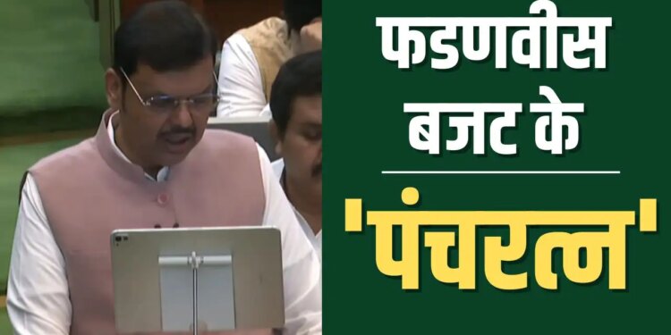 Good news for farmers and women! Maharashtra government made big announcements to increase income and provide employment