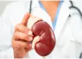 Healthy Kidney Tips: Easy ways to detox the kidneys naturally and these things will remove toxins