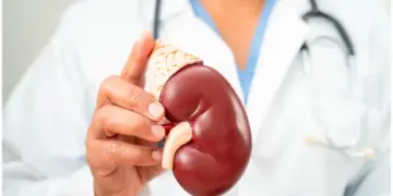 Healthy Kidney Tips: Easy ways to detox the kidneys naturally and these things will remove toxins