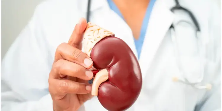 Healthy Kidney Tips: Easy ways to detox the kidneys naturally and these things will remove toxins