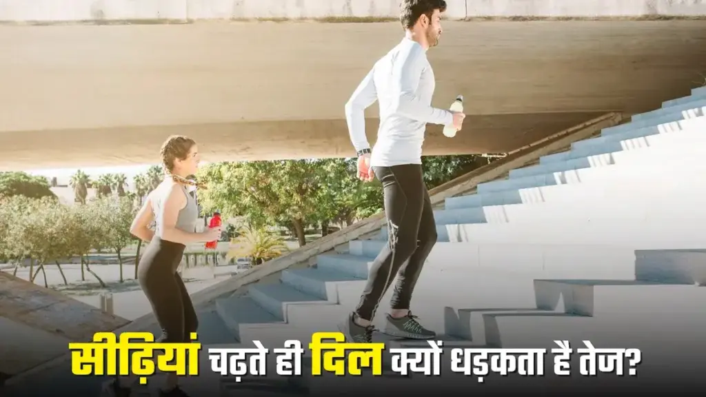 Heart beats fast while climbing stairs. Heart 'problem or anxiety'... Know the hidden reasons behind it and the sign of which disease.