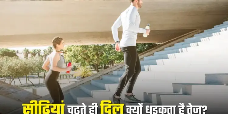 Heart beats fast while climbing stairs. Heart 'problem or anxiety'... Know the hidden reasons behind it and the sign of which disease.