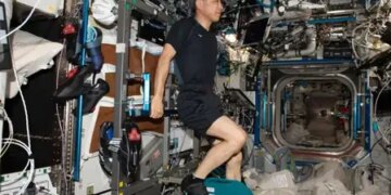How astronauts keep themselves fit amid microgravity in space, this is how they exercise