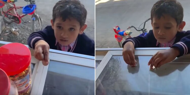 “Just give it to me…” You will also remember your childhood after listening to the innocent bargaining of the child, video goes viral