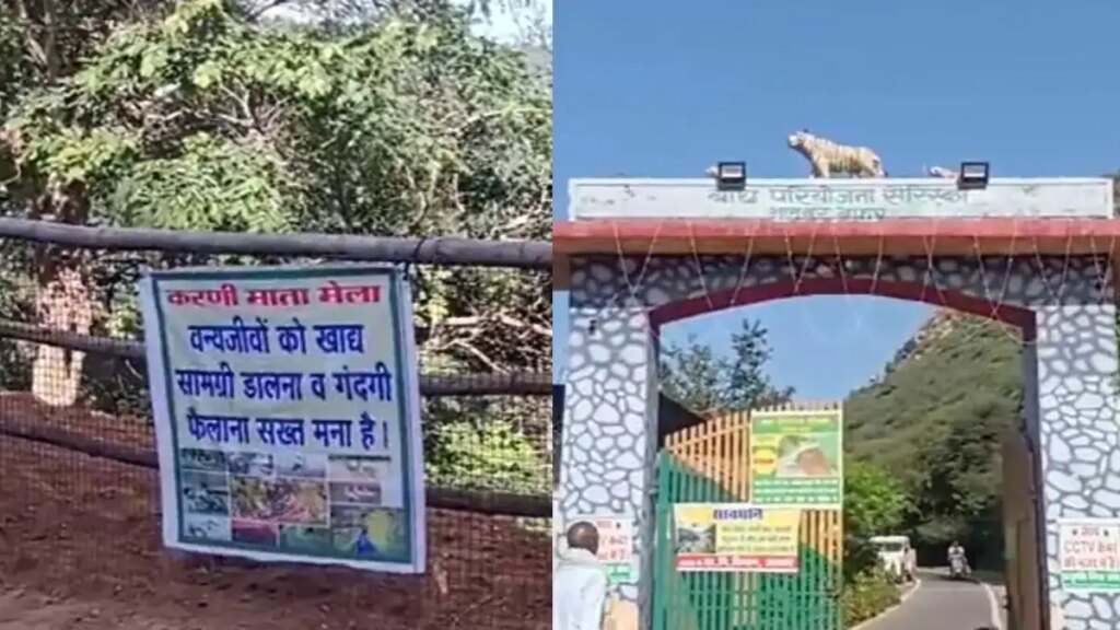 Karni Mata fair begins in Alwar, see video of crowd of devotees in the forest area
