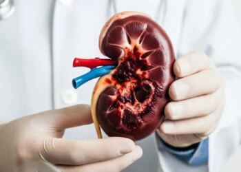 Kidney Damage Warning: These daily habits of yours are silently spoiling kidney health, improve them today otherwise....