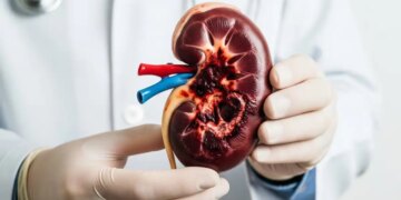 Kidney Damage Warning: These daily habits of yours are silently spoiling kidney health, improve them today otherwise....